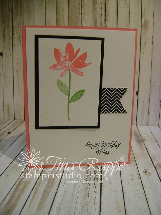 Stampin' Up! Avant Garden stamp set, Sale-a-bration 2017, Stampin' Studio