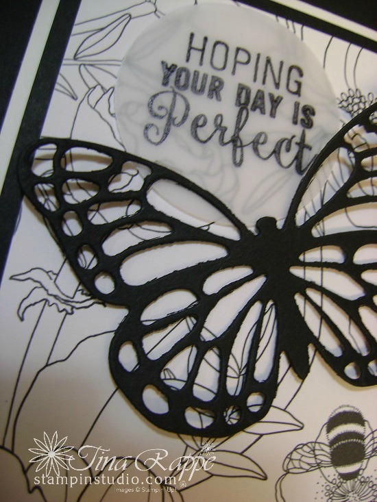 Stampin' Up! Inside the Lines Designer Series Paper, Sale-a-bration 2017. Butterflies Thinlits, Stampin' Studio