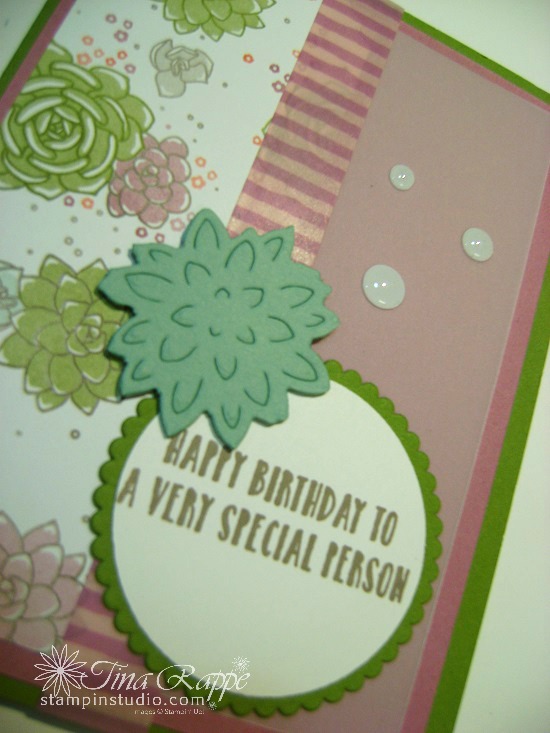 Stampin' Up! Succulent Garden Bundle, Oh So Succulent stamp set, Succulent Framelits Dies, Stampin' Studio