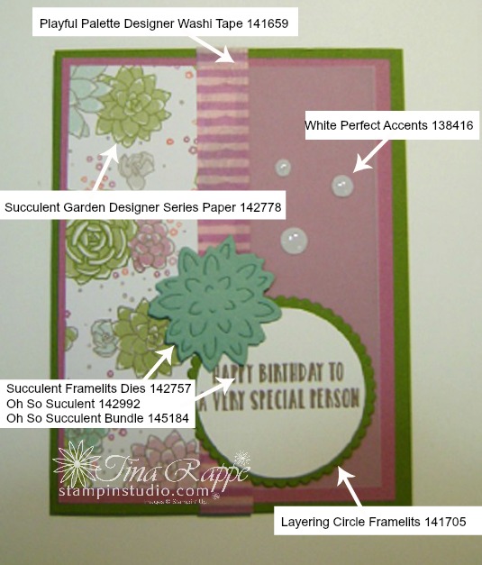 Stampin' Up! Succulent Garden Bundle, Oh So Succulent stamp set, Succulent Framelits Dies, Stampin' Studio