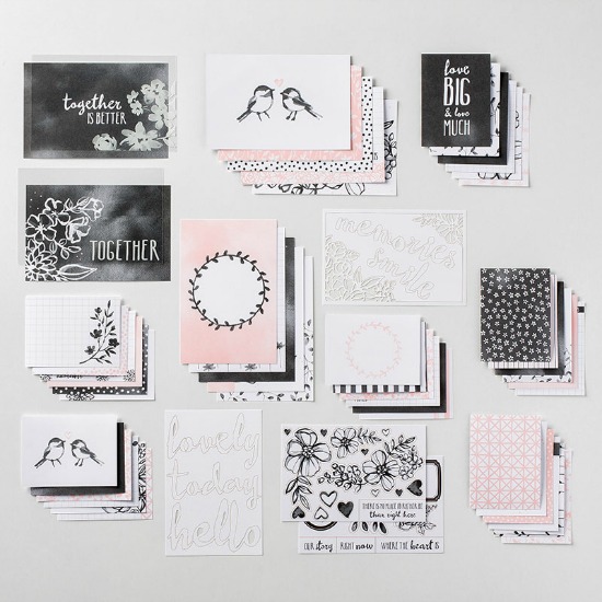 Stampin' Up! Petal Passion Memories & More Card Kit, Stampin' Sister's Retreat, Stampin' Studio