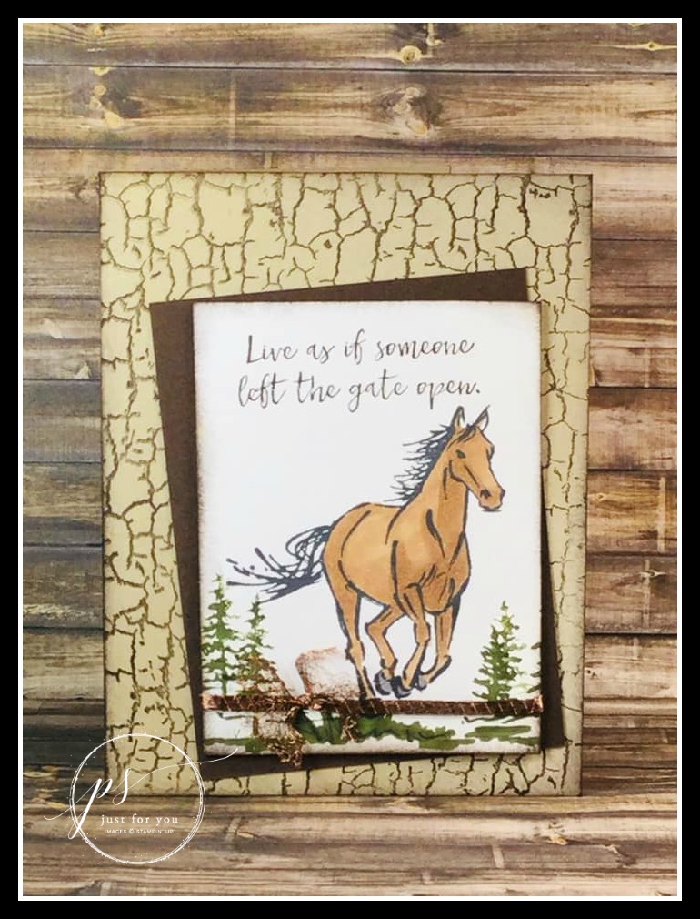 Stampin' up! Let it Ride stamp set, Crackle Paint stamp set, Stampin' Studio