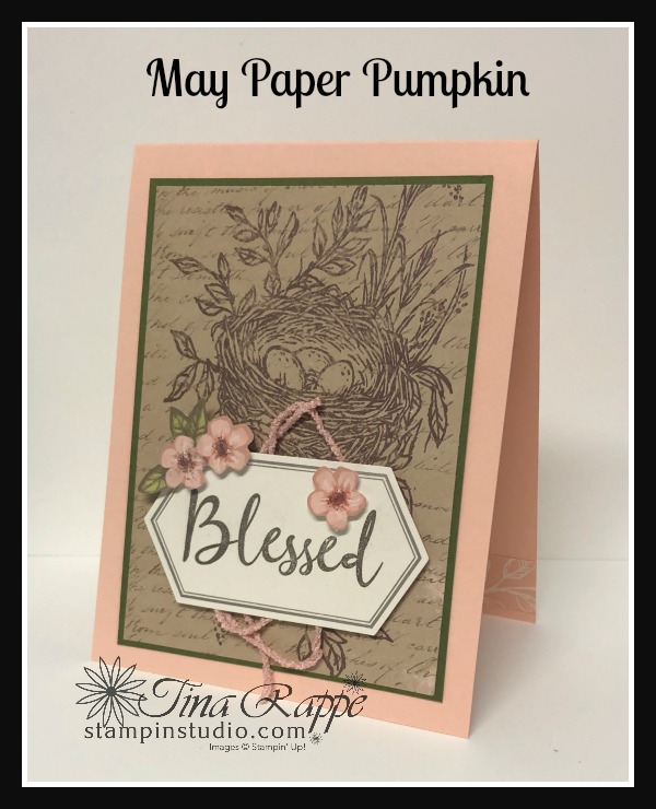 Stampin' Up! May 2019 Paper Pumpkin, Stampin' Studio