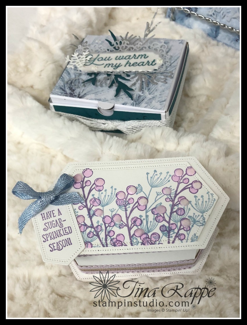 Stampin' Up! Feels Like Frost Suite, Stampin' Sisters Holiday Hoopla, Stampin' Studio