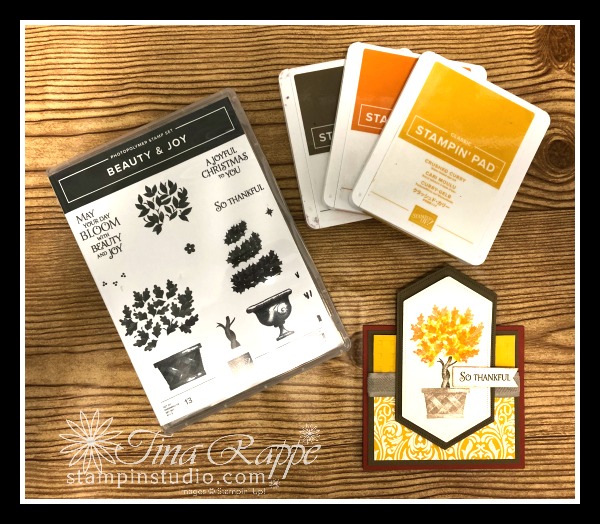 Stampin' Up! Beauty & Joy stamp set, Fun Fold, Stampin' Studio