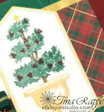 Stampin' Up! Beauty & Joy stamp set, Wrapped in Plaid DSP. Stampin' Studio