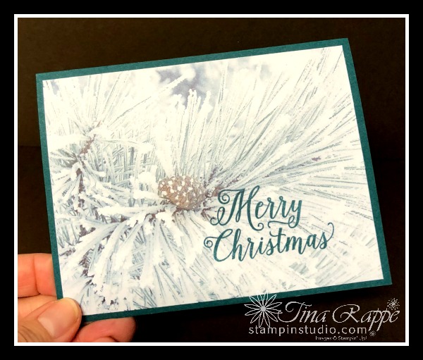 Stampin' Up! Feels Like Frost Designer Series Paper, Stampin' Studio