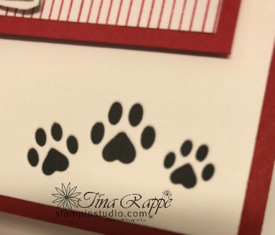 Stampin' Up! Playful Pets Suite, Making the most of the Pampered Pets Designer Series Paper,Pampered Pets Bundle, Stampin' Studio