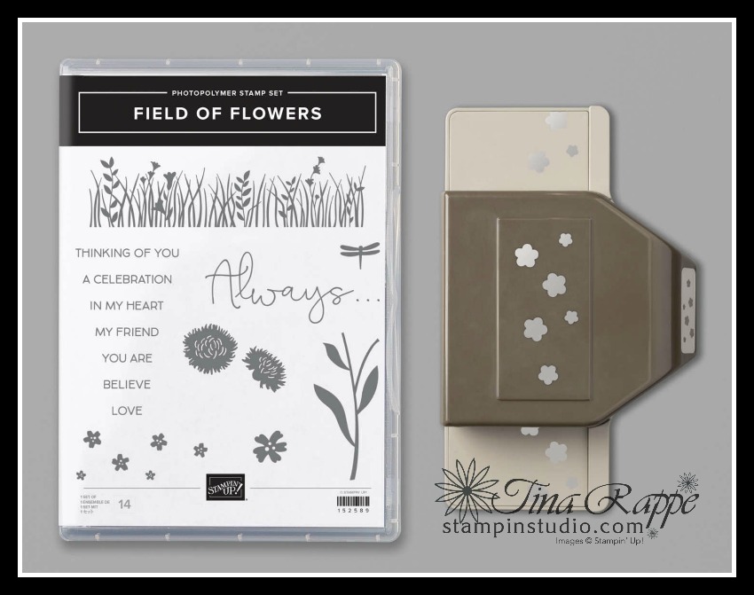 Stampin' Up! Filed of Flowers Bundle, Turning Negative into a positive,Confetti Flowers Border Punch, Field of Flowers stamp set, Stampin' Studio