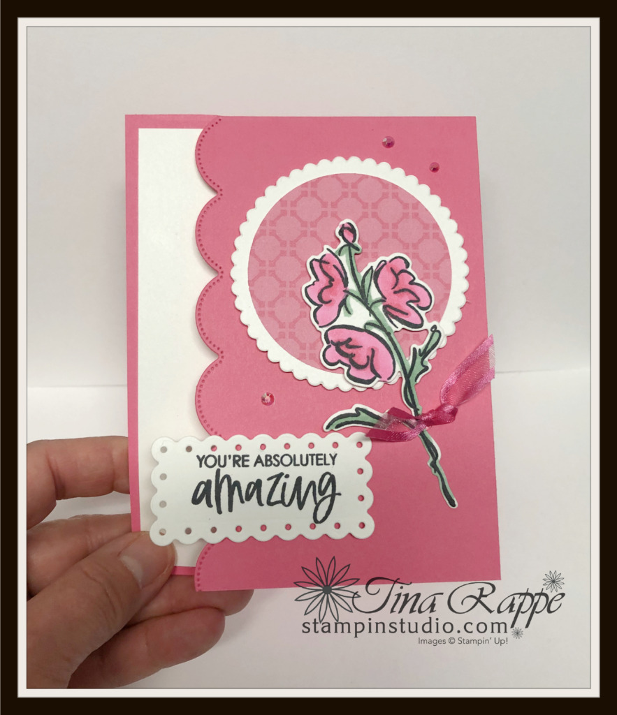 Stampin' Up! Color & Contour Bundle, Stampin' Studio