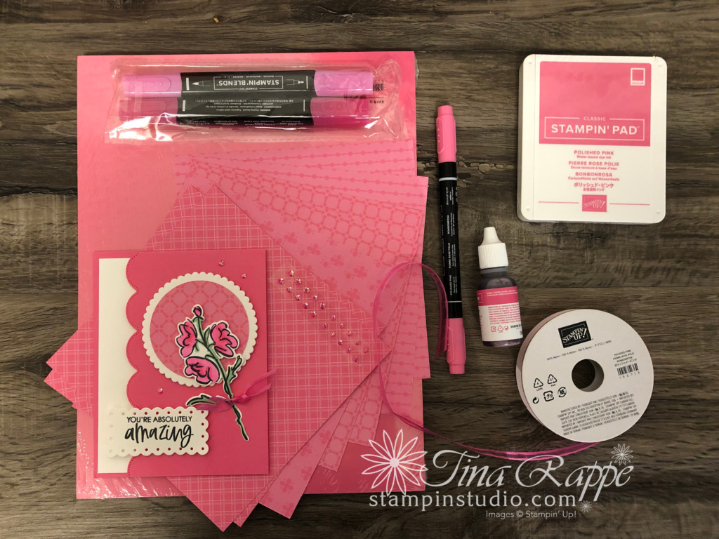 Stampin' Up! Color & Contour Bundle, Polished Pink In Color Club, Stampin' Studio