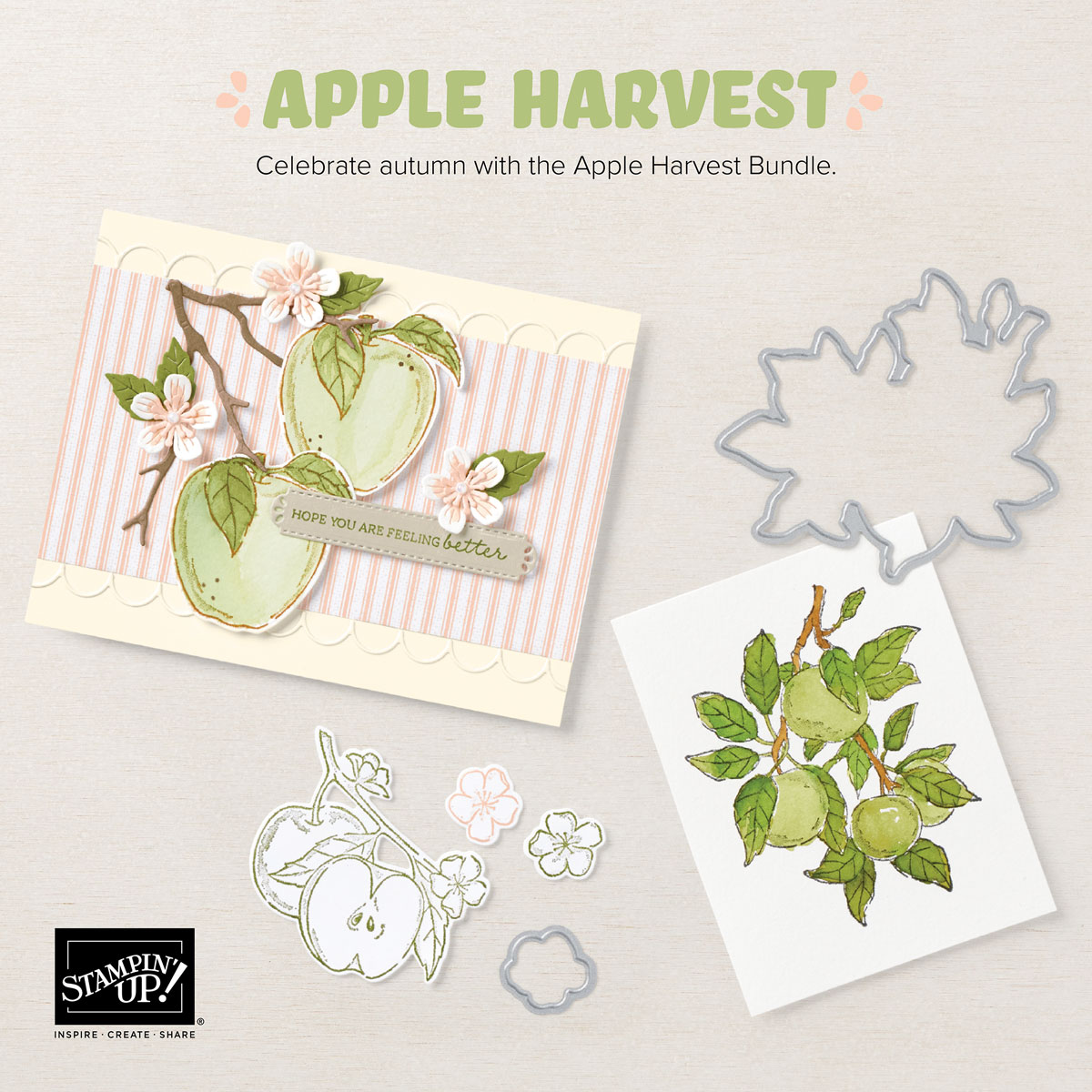 Stampin' Up! Apple Harvest Bundle, Stampin' Studio